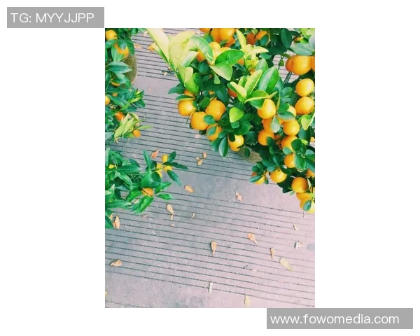 鹈鹕与勇士激战正酣现场直播带你感受比赛精彩瞬间