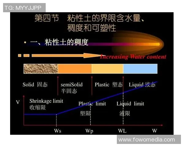 欧罗巴大学与普大学的学术交流与合作前景探讨